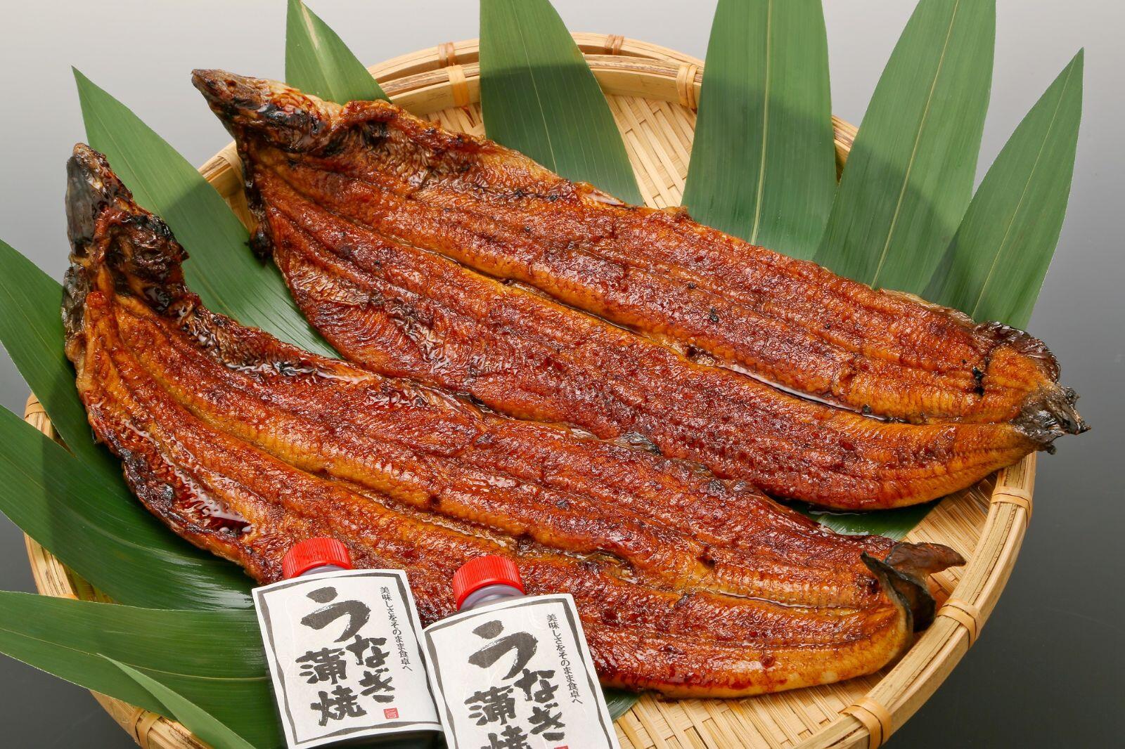 Ⅱ，鰻の炭火焼